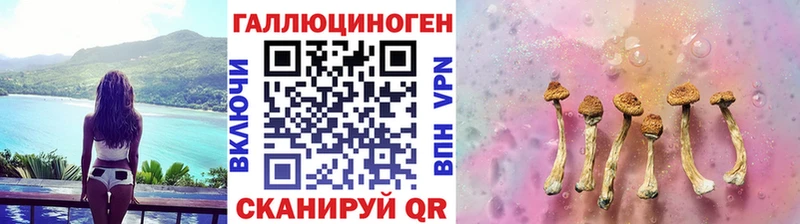 Псилоцибиновые грибы мицелий  Большой Камень 